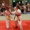 Wetteifern vor stattlicher Kulisse: Für viele der rund 100 Jungen und Mädchen war das Höchberger Stefan-Färber-Turnier der erste Judo-Wettkampf überhaupt.