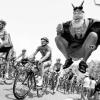 Rumpelstilzchen am Wegesrand: Dieter Senft bei der Tour de France.