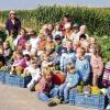 Frankenwinheim (stop)    Birgit und Alexander Röll bereiteten dem Frankenwinheimer Kindergarten einen interessanten Vormittag auf ihrem Kürbis- und Artischockenfeld neben der Weidach am Fahrradweg. 40 Kinder waren mit ihren Betreuerinnen unter Leitung von Elke Krämer erschienen. Angefangen vom Kürbissamen wurde den Kleinen erklärt, bis daraus auf dem Feld die Kürbisfrucht entsteht. Nachdem sich jeder ein paar Kürbisse für zu Hause und den Kindergarten ausgesucht hatte, durfte eine Kürbissuppe nicht fehlen. Bereits im sechsten Jahr werden auf dem Röllschen Hof Artischocken angebaut. Die Kinder konnten hier die prächtigen lila Blütenstände bewundern, die auf Künstler- und Bauernmärkten verkauft werden. Mit ihren voll beladenen Leiterwagen zog die bunte Kinderschar mit ihren Betreuerinnen nach der Stärkung wieder zurück in den Kindergarten.