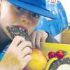 Fit durch gesunde Ernährung: wie ein gutes Frühstück aussieht, können sich am Montag 1600 Erstklässler aus Stadt und Landkreis Würzburg anschauen. Sie bekommen alle eine Bio-BrotBox geschenkt. Gefüllt mit Vollkornbrot, frischem Gemüse und Aufstrich.