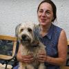 Ursula Böhm (Leiterin des Tierheims Wannigsmühle und Vorsitzende der Kreistierschutzverbandes) wünscht sich, dass die Tierhalter ihre Lieblinge während der Urlaubstage bei Freunden unterbringen, da das Tierheim nur beschränkt Pensionsplätze zur Verfügung stellen kann.