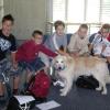 Blindenhund „King“ lässt sich sich von den Fünftklässlern der Gustav-Walle-Volksschule streicheln, während sein Frauchen Fragen über ihre Behinderung beantwortet.