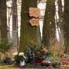 Der Unterschied zum Friedwald Am Urnengrab unter dem Baum sind begrenzt Schmuck und ein Namens-Hinweis möglich.     FOTO Thomas Obermeier