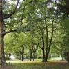 Der Ringpark ist für viele Würzburger zu jeder Jahreszeit ein Ort der Erholung – auch für die Augen.