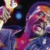 Rock'n'Roll und Rhythm'n'Blues: Ike Turner.