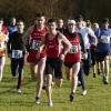 Crosslauf-Idyll: Den Hauptlauf über 9400 Meter gewann Lokalmatador Markus Unsleber (vorne ohne Nummer), gefolgt von Wolfgang Müller (145) und Sven Perleth (146/beide TSV Ostheim).
