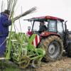 Arbeiter setzen bei Bad Schussenried im Regen von einem Traktor aus Weidepflanzen für Deutschlands ersten „Energiewald“.DPA