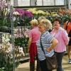 Oberspiesheim (ls)   Auch der Gartenbaubetrieb Gernert öffnete am Tag der offenen Tür der neuen Biogasanlage bei Oberspiesheim seine Türen für die Bevölkerung. Betriebsinhaber Udo Gernert zeigte sich sehr zufrieden mit der Resonanz. Besonders die Orchideenhäuser weckten das Interesse der Besucher. Der Betrieb in Oberspiesheim hat sich auf Sonderkulturen im Zimmerpflanzenbereich spezialisiert. 6,8 Hektar des Betriebsgeländes entfallen auf Gewächshäuser. Über 50 Mitarbeiter sind in dem Gartenbaubetrieb beschäftigt, der von der benachbarten Biogasanlage gut ein Drittel seines Wärembedarfs zum Beheizen seiner Unter-Glas-Flächen bezieht.