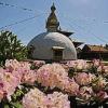 Nepal-Tempel in Wiesent. FOTO dpa