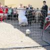 Erlabrunn (gizo)   Unter die Haube gekommen sind Sabine und Andreas Kraft. Die beiden aktiven Mitglieder der Erlabrunner Freiwilligen Feuerwehr und des Faschingsvereins Narrenkröpf haben am Samstag in der katholischen Pfarrei St. Andreas geheiratet. Nach der Trauung standen Freunde und die Kameraden der Feuerwehr, des Faschingsvereins und des TSV Erlabrunn, wo der Bräutigam in der zweiten Mannschaft spielt, Spalier. Das erste Glas Sekt bekam das aus Erlabrunn stammende Brautpaar aus einem Feuerwehrschlauch ausgeschenkt. Und auf die Torwand musste auch die Braut schießen.