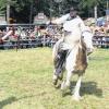 Die Reitvorführung der „Haraldos“ begeisterte die Besucher des Westernfests in Nassig.