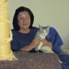 Hertha Stumpf sitzt mit Katze Maunz im Tillyhaus in Königsberg. Maunz wurde im Dezember im Wald ausgesetzt und von der Tierschützerin aufgepäppelt – jetzt könnte sie vermittelt werden.