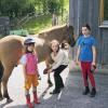 Geduldig lässt sich das Pferd vor dem Ausritt die Hufe säubern.