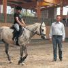 Reiten will gelernt sein – auf dem Gut „Reinhardshof“ in Weimarschmieden können Pferdefreunde den Sport von der Pike auf lernen.