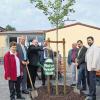 Mit einem Krug Bier goss Johann Meyer (Zweiter von links) auf dem Platz vor der alten Schule in Fuchsstadt den frisch gepflanzten Gingko-Baume; Mit dabei waren: (von links) Hannelore Düll, OGV-Vorsitzender Helmut Scheller, Rudolf Kleinschroth sowie (von rechts) Bürgermeister Karl Hügelschäffer und Helmut Lutz.