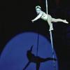 Schweinfurt (kay)   „Menschen, Tiere, Sensationen“ – noch bis zum 6. Oktober gastiert der Circus Frankello unter diesem Motto im Schweinfurter Hafen. Im „Traumpalast“ in der Rudolf-Diesel-Straße 14 (ehemaliges Obi-Gelände) können unter anderem die Vulkanos beim Feuerschlucken, Miss Scarlett auf dem Drahtseil und Remo Frankello bei seiner Stuhl-Balance bestaunt werden. Neben Akrobatik stehen Clowns, Live-Musik und exotische Tiere wie Kamele auf dem Programm. Vorführungen sind am Samstag um 15 und 18 Uhr und am Sonntag um 11 und 15 Uhr. Die letzte Vorführung gibt es am Montag, 6. Oktober, um 15 Uhr.