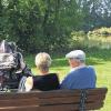 Spaziergänger und Bewohner des nahegelegenen Altenpflegeheims sitzen gern auf den Bänken auf der Mainpromenade in Karlstadt. Nicht immer haben sie einen freien Blick auf den Main. Auch auf dieser Bank (im Bild) ist die Aussicht zweigeteilt – rechts auf den Fluss und das andere Ufer und links Sträucher.