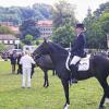 Edle Pferde vor prächtiger Kulisse: Beim Lusitano-Festival in Castell wurden 98 Pferde den Wertungsrichtern vorgestellt. Die aus Portugal stammende Pferderasse erfreut sich in Deutschland wachsender Beliebtheit.FOTO Land
