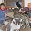 Angelika und Lothar Franke aus Karbach engagieren sich sehr für Katzen. Etwa 80 haben sie bei sich aufgenommen.