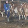 Anstrengende Handarbeit muss der Michelfelder Landwirt Wolfgang Moser derzeit täglich in seinem Außenklimastall leisten.