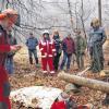 Ein Unfall bei Holzarbeiten im Wald ereignet sich schneller als man denkt. Den Rettungsmaßnahmen der Arbeitskollegen kommt entscheidende Bedeutung zu.