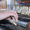 Gute Fingermotorik braucht ein Organist.
