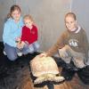 Die Faszination für urzeitliche Tiere ist bei Kindern ungebrochen. Völlig ungefährlich ist dass, wenn es sich um große Landschildkröten handelt. Dieses Exemplar, das sich hier streicheln lässt, ist im Vergleich mit seinen Eltern fast noch ein Baby.S (3) HELMUT GLAUCH