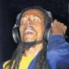„Reggae“ heißt das Foto von Constantin Römmelt, das den Musiker Bob Marley als Wachsfigur zeigt. Mit dem Bild siegte der Schwanfelder bei der Landesfotoschau in der Kategorie bis 16 Jahren.