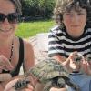 26 kleine Schildkröten schlüpften vor kurzem bei Familie Key in Oerlenbach. Jana und Thilo halten ein paar Exemplare und ein Muttertier in die Kamera. Die Kleinen wurden eine Zeit lang im Brutapparat gehalten.