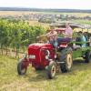 „Mit dem Porsche zum Silvaner“ ist nur eine von vielen originellen und individuellen Veranstaltungen, mit denen Gästeführer Martin Mößlein den Frankenwein und alles, was dazu gehört, zum Erlebnis werden lässt.