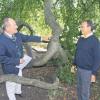 Voller Unverständnis betrachten Jörg Rieger (links), Geschäftsführer des Heilbads, und Kurhaus-Geschäftsführer Hermann Baer die frisch geritzten Herzen, die der 200 Jahre alten Hängebuche im Kurpark bestimmt nicht gut tun.