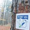 Der Spessartweg 1, der von Aschaffenburg nach Gemünden führt, ist laut Spessartverein für Lohr bedeutend.