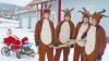 (mch)   Das hat es in Oberelsbach noch nicht gegeben: In der Gemeinde waren an den Weihnachtsfeiertagen die Rentiere los. Vier junge Leute hatten sich als Rentiere verkleidet und zogen den Weihnachtsmann auf dem Schlitten durch die Straßen. Die Kinder, denen man unterwegs begegnete, bekamen Geschenke und strahlten deshalb über beide Ohren. „Das gibt es nirgendwo“, versichert eines der Rentiere. Die fünf jungen Leute wollen diese Aktion an den Weihnachtsfeiertagen nun zu einer Art Tradition in Oberelsbach werden lassen. Das Bild zeigt (von links) den Weihnachtsmann (Christoph Schnepf), die Rentiere Donner (Michael Schnepf), Rudolph (Patrick Herbert), Blitzen (Christoph Kolb) und Dancer (Matthias Katzenberger).