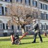 Arbeiten, die früher die Gärtner der Kurgärtnerei erledigten, werden inzwischen oft an Firmen vergeben: Peter Vorobev arbeitet für die Breitenbacher Firma GLP im Kurpark des Staatsbades.