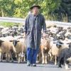 Lange Geschichte, guter Geschmack: Das Bamberger Hörnla, die Limpurger Weiderinder und die Rhönschafe sind schon in der Slow-Food-Arche aufgenommen. Das Schwäbisch-Hällische Landschwein soll bald hinein.