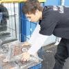 Das letzte noch vorrätige Streumittel: Lava-Granulat. Der Auszubildende Marcel Krines ordnet beim Edeka-Markt Höchner in Hofheim die verbleibenden Säcke. Streusalz war am Freitag ausverkauft.