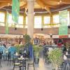 Markthalle innen: Der Treffpunkt in Schweinfurt Mitte wird mit einem neuen Konzept sein heutiges Gesicht stark verändern und will damit wieder an seine Glanzzeiten anknüpfen.