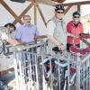 In Thüngen: 200 Kilogramm brachte dieses Radlerpaar auf die Waage – mit zwei Fahrrädern freilich! Bürgermeister Klaus Enzmann und sein Mitarbeiter Hubert Druschel (links) waren Wiegemeister.