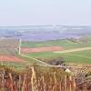 Zwischen Erlenbach und Marktheidenfeld: Rund 17,5 Hektar soll die Photovoltaik-Freiflächenanlage (lila eingefärbt) auf dem Dillberg umfassen. Der Erlenbacher Gemeinderat stimmte der Erstellung der Genehmigungsplanung zu.