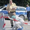 Fahndung mit Hochdruck: Polizeibeamte suchten am vergangenen Mittwoch in Hagnau am Bodensee nach dem Mord an einer Taxifahrerin am Tatort nach Spuren. Die Leiche der 32-Jährigen, die Messerstiche aufwies, lag in dem Taxi.