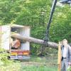 (fi)   In China wächst die Baumart Buche nicht. Trotzdem haben die Menschen im Reich der Mitte die Qualität dieser Holzart entdeckt, die aus Mitteleuropa importiert wird. Stattliche 250 Festmeter Buche aus dem Gemeinsamen Bürgerwald Gerolzhofen-Dingolshausen und dem Gemeindewald Oberschwarzach sind dieser Tage vom Holzlagerplatz an der Langen Wiese zwischen Michelau und Geusfeld in den Übersee-Container verladen worden. Volker Conrad (im Bild), Geschäftsführer der Forstbetriebsgemeinschaft (FBG) Main-Steigerwald, berichtet, der Kontakt nach Fernost sei über einen Holzgroßhändler entstanden. Das Buchenholz ist die einzige größere Menge aus dem FBG-Bereich, die nach außerhalb der Region geht. In China wird der Steigerwälder Rohstoff als Bauholz und für Schälfurnier verwendet. Für den Überseetransport werden die Schnittstellen der Stämme eigens gewachst, um das Holz zu konservieren. Denn bei einer so langen Seefahrt, die zweimal über den Äquator führt, soll die Buche keine Wertminderung erleiden. Die Chinesen haben übrigens einen „guten Preis“ (Conrad) für das Holz bezahlt.