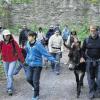 Tiere, Natur und lebendiger Geschichtsunterricht: Während sich die Erwachsenen bei der Eselwanderung zum Zabelstein vor allem für historische Hintergründe interessierten, waren die Kinder Feuer und Flamme für die vierbeinigen Begleiter.