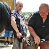 Selten gewordenes Handwerk: Beim Museumsfest gibt es Fertigkeiten wie das Pferdebeschlagen zu bestaunen.