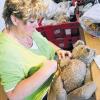 Ärztin für Plüschtiere: Waltraud Brenner näht in Giengen beim Plüschtierhersteller Steiff in der Reparaturabteilung an einem ramponierten Teddybären einen abgetrennten Arm an.