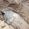Explosives Riesending: 500 Kilogramm hat die Sprengbombe die am Donnerstag entschärft wurde.