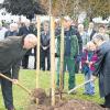 (lies)   Traditionell pflanzen die Städtepartnerschaftskomitees von Duiven und Gemünden seit 22 Jahren bei ihren halbjährlichen Begegnungen einen Baum. Am vergangenen Wochenende spendierten die Niederländer einen Tulpenbaum für den Gemündener Friedhof als Schattenspender und zum Gedenken an die verstorbenen Komiteemitglieder. Insbesondere erinnerte die Gemündener Vorsitzende Ria Friedel (rechts im Bild mit dem Duivener Vorsitzenden Antoon Bonke und Stadtgärtner Gary Heinl) an ihre Vorstandskollegen Anni Haas, Hans-Joachim Beyrich, Roland Elfers, Walter Englisch und Otto Maisel. Zuvor hatte der amtierende Bürgermeister Günter Metz die Delegation zu einem Empfang ins Rathaus eingeladen. Zum ersten Mal zu Besuch in Gemünden waren der im März neu gewählte stellvertretende Bürgermeister Sjef van Groningen und der Chef der Gemeindeverwaltung, Chris Papjes.