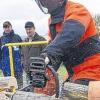 Vorführung: Der Holztag fand große Resonanz, er soll zur festen Einrichtung werden.