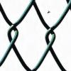 Ein Maschendrahtzaun: Wieder mal steht er im Mittelpunkt eines Nachbarschaftsstreits – diesmal auf Fränkisch.
