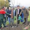 Streuobstwiesenbestand bereichert: Im Beisein zahlreicher Bürger trafen sich (von links) Gemeindearbeiter Ottmar Ebert, der Vorsitzende des Gartenbauvereins Sulzheim, Norbert Flammersberger, der Vorsitzende des Kreisverbandes für Gartenbau und Landespflege in Schweinfurt, Frank Bauer, Gemeindearbeiter Gerold Feike, der stellvertretende Landrat Paul Heuler und Bürgermeister Michael Geck am Ortsausgang von Sulzheim bei der Aufstockung des Obstbaumbestandes auf der gemeindlichen Streuobstwiese.