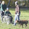 Die Prüfungen haben es in sich: In der Rödelmairer Hundeschule proben Tierhalter mit ihren Vierbeinern das richtige Verhalten in Alltagssituationen. Das Anspringen von Passanten zum Beispiel ist tabu.
